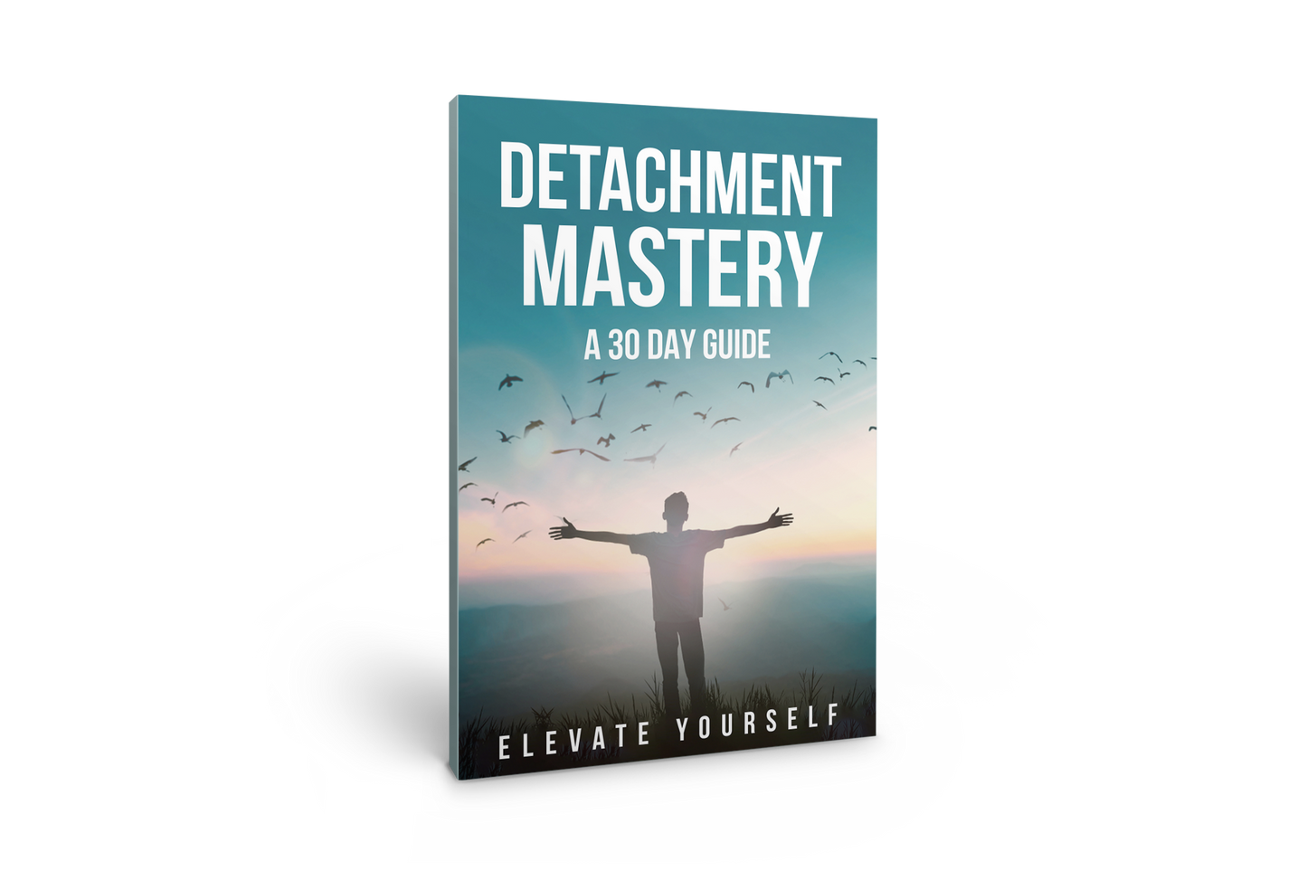 DETACHMENT MASTERY: A 30 DAY GUIDE