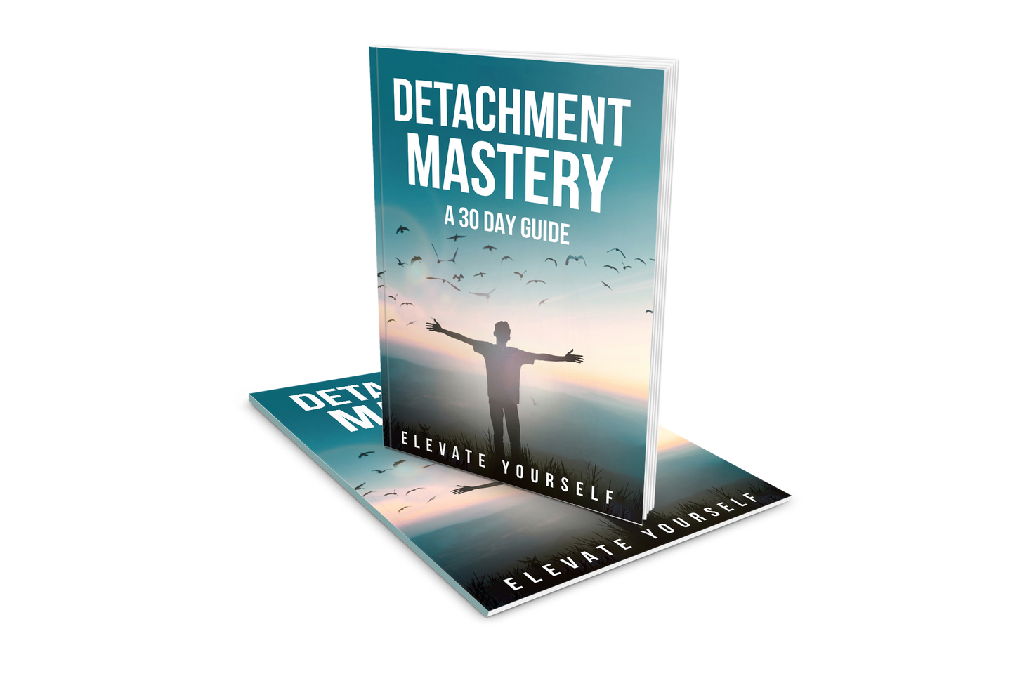 DETACHMENT MASTERY: A 30 DAY GUIDE